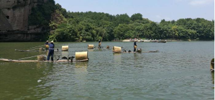 1514014536865794.jpg 二等奖03.jpg